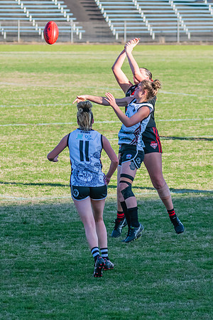 WPD Elimination Final - North Shore v Inner West - 7 August 2022