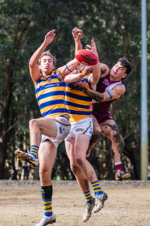 Rd 17 MPD - Manly Warringah v Sydney Uni - 16 August 2025