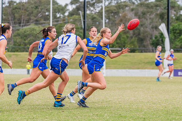 WPD Semi Final - Parramatta v Sydney Uni - 8 September 2024
