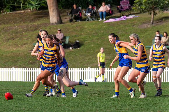 Rd 12 WPD - Sydney Uni v East Coast - 5 July 2025