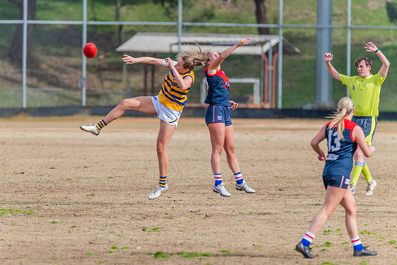 Rd 14 WPD - Pennant Hills v Sydney Uni - 16 July 2022