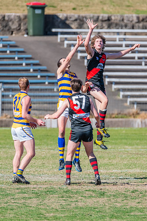 Men's Div 1 - Qualifying Final - North Shore v Sydney University