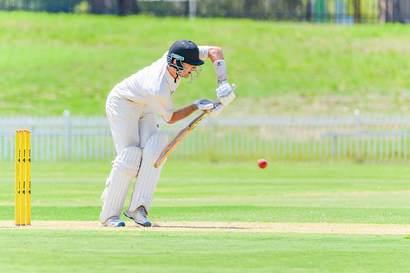 Belmont v Stockton First Grade Cricket