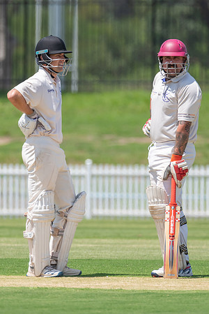 Belmont v Stockton First Grade Cricket
