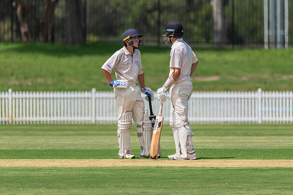 Belmont v Stockton First Grade Cricket