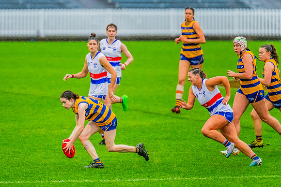 Rd 8 WPD - UNSW-ES v Sydney Uni - 1 June 2024