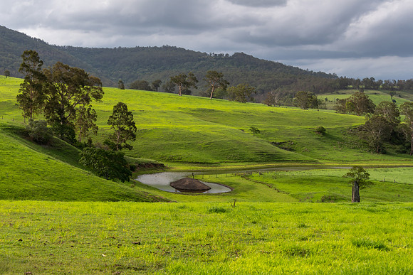 Rural Countryside green after the rain.