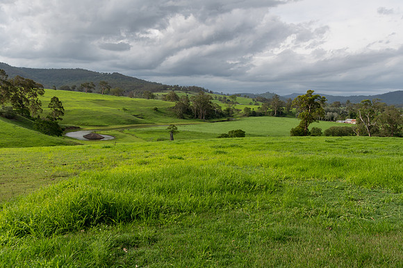 Rural Countryside green after the rain.
