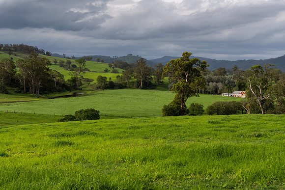 Rural Countryside green after the rain.