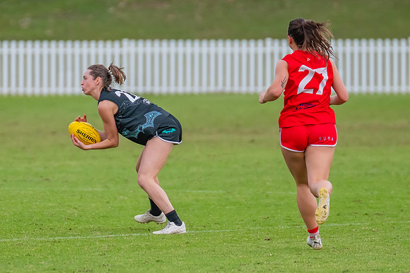 Rd 7 WPD - St George v UTS - 25 May 2024