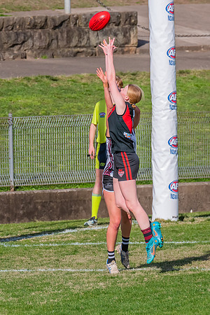 WPD Elimination Final - North Shore v Inner West - 7 August 2022