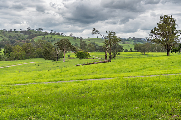 Rural Countryside green after the rain.