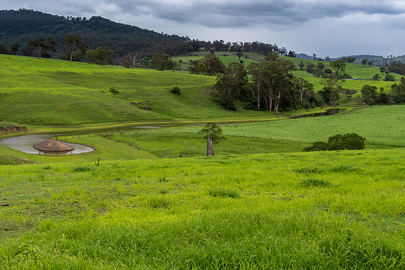 Rural Countryside green after the rain.