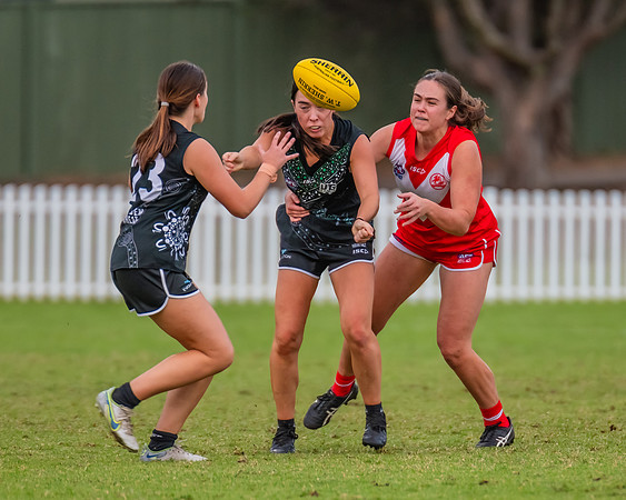 Rd 7 WPD - St George v UTS - 25 May 2024