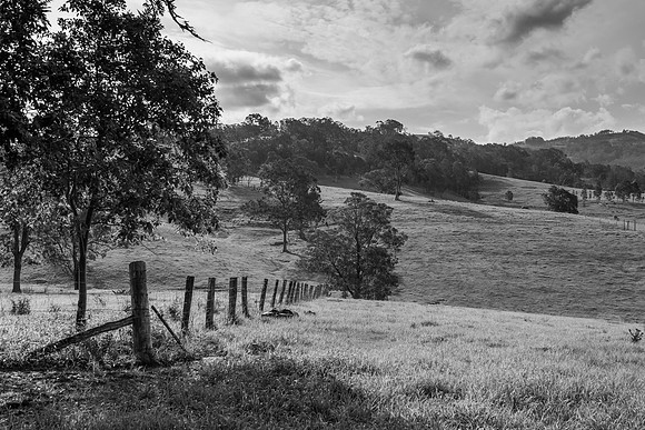 Rural Countrysidein black and white
