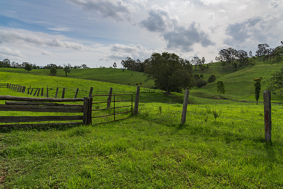 Rural Countryside green after the rain.