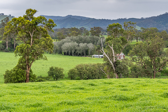 Rural Countryside green after the rain.