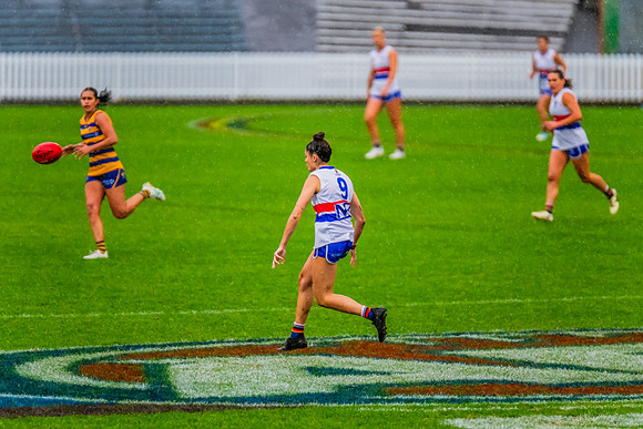 Rd 8 WPD - UNSW-ES v Sydney Uni - 1 June 2024