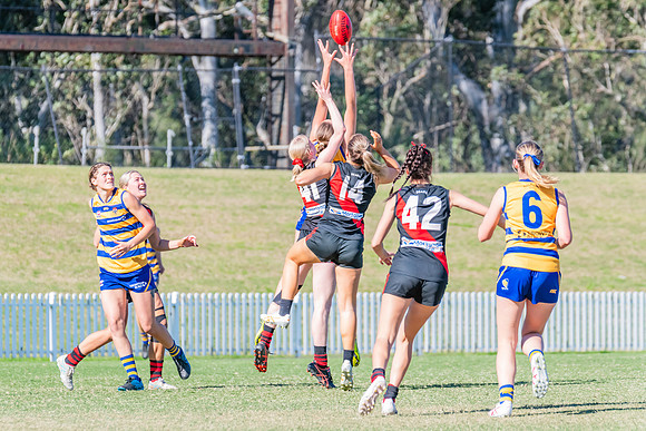 WPD Elimination Final - North Shore v Sydney Uni - 1 September 2