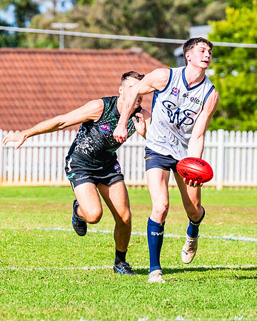 Rd 8 MPD - UTS v SWS - 31 May 2025