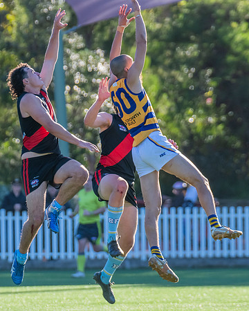 Rd 15 MPD - North Shore v Sydney Uni - 3 August 2024