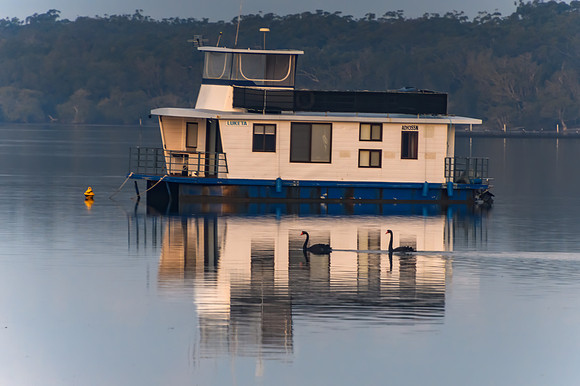 Houseboat and Reflections in the Twilight with a pair of black s