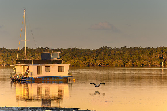 Houseboat and Reflections at Sunset with a Pelican in Flight
