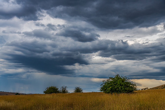 Late afternoon Summer storm