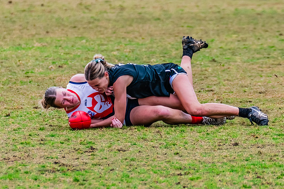 Rd 6 WPD - UTS v Pennant Hills - 11 May 2024