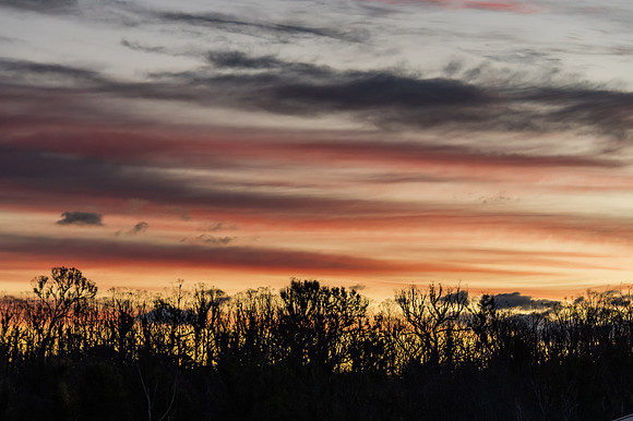 Sunset over the tree tops