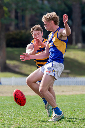 Rd 12 MPD - Sydney Uni v East Coast - 5 July 2025