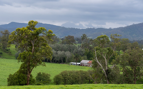 Rural Countryside green after the rain.