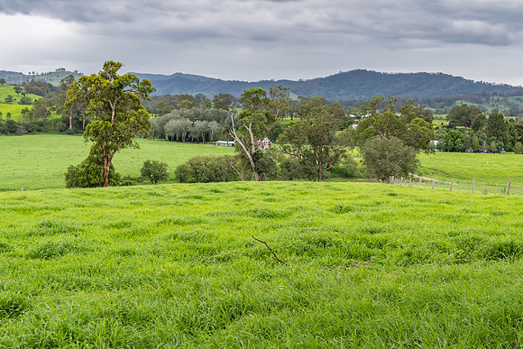 Rural Countryside green after the rain.