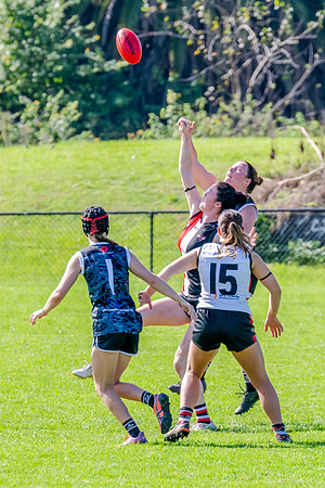 Rd 4 WD2 - Inner West v Randwick City - 25 April 2025