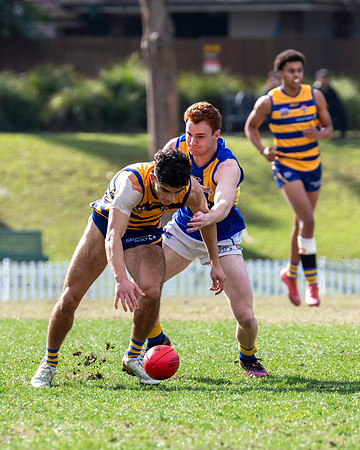 Rd 12 MPD - Sydney Uni v East Coast - 5 July 2025