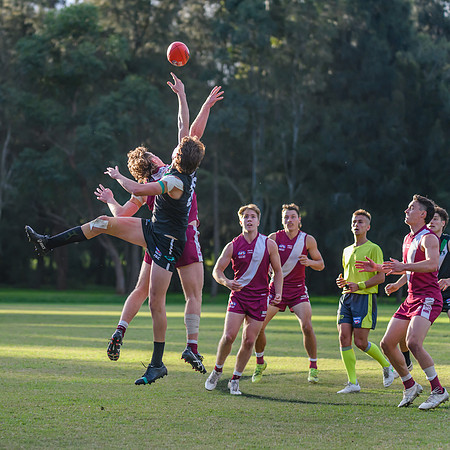 Rd 5 MPD - Manly Warringah v UTS - 7 May 2022
