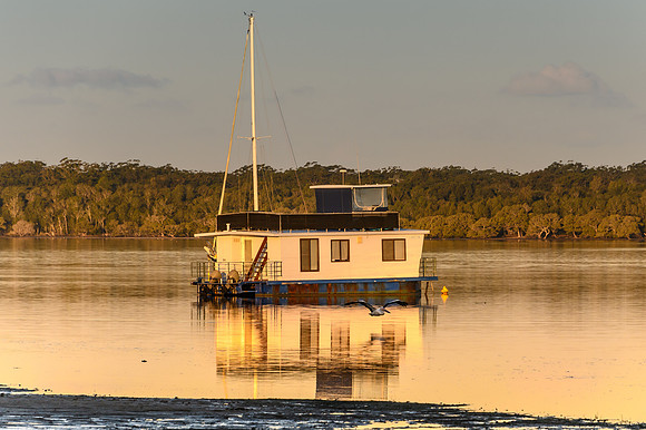 Houseboat and Reflections at Sunset with a Pelican in Flight