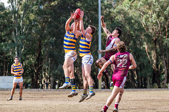 Rd 17 MPD - Manly Warringah v Sydney Uni - 16 August 2025