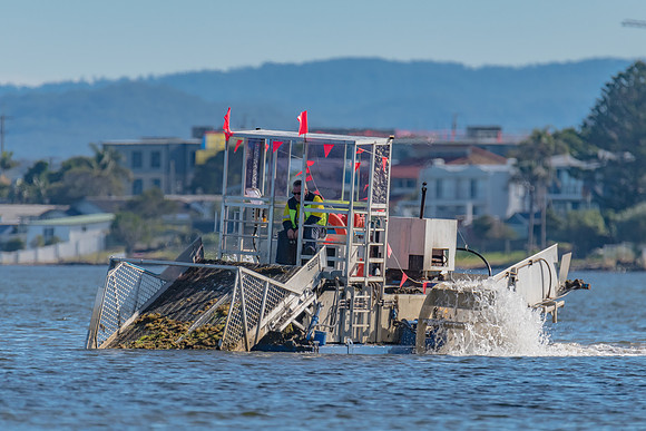 Seaweed harvesting machinery
