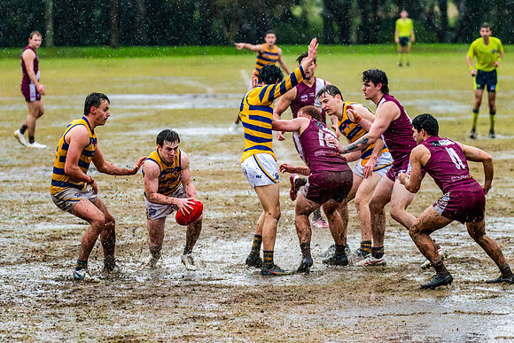 Rd 10 MPD - Manly Warringah v Sydney Uni - 22 June 2024