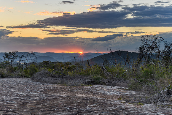 Australian Bush Sunset with Tessellated Rock