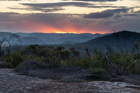 Australian Bush Sunset with Tessellated Rock