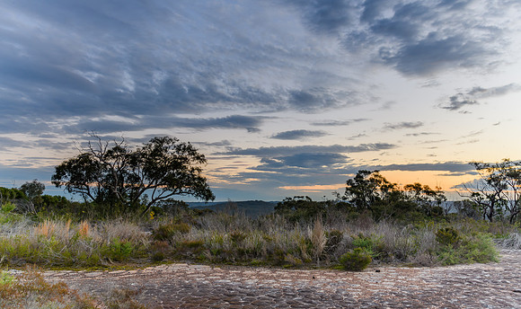 Australian Bush Sunset Panorama with Tessellated Rock