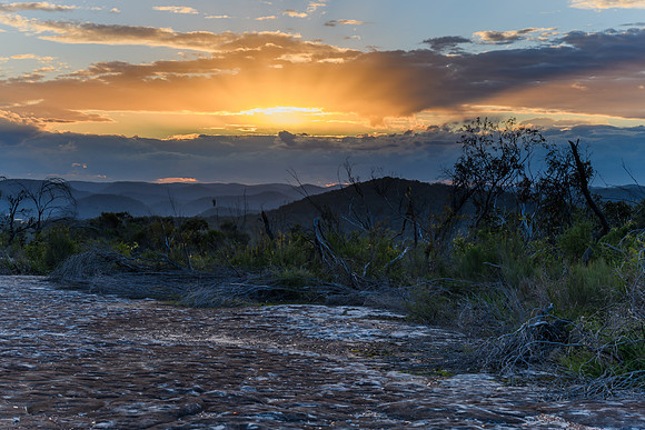 Australian Bush Sunset with Tessellated Rock