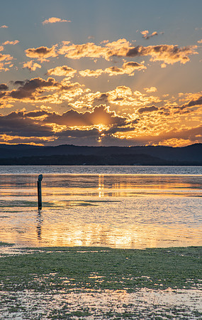 Sunset Light over the Lake