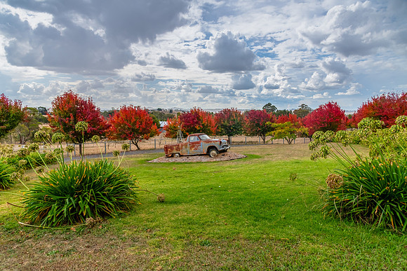 Autumn foliage on the tree lined rural driveway with rusted ute