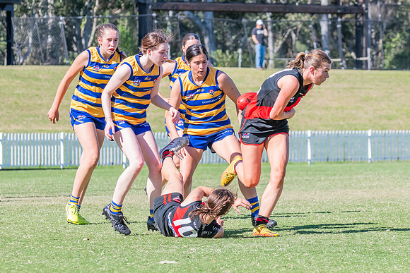 WPD Elimination Final - North Shore v Sydney Uni - 1 September 2