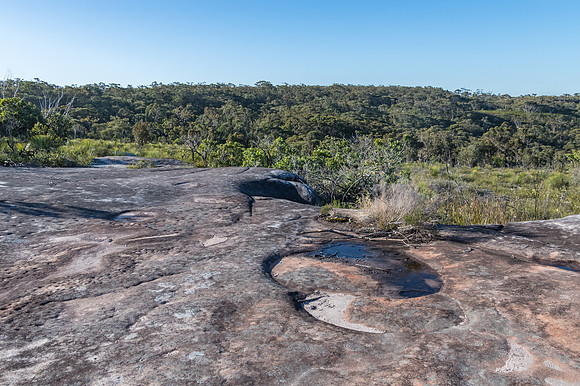 Australian Bush Landscape
