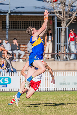 Rd 17 MPD - East Coast v St George - 17 August 2024