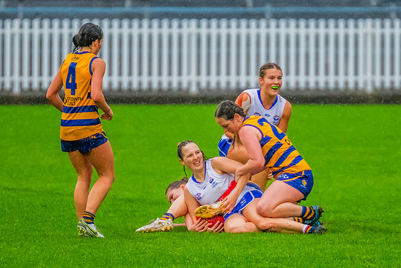 Rd 8 WPD - UNSW-ES v Sydney Uni - 1 June 2024